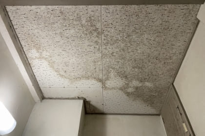 雨漏り放置リスクの写真