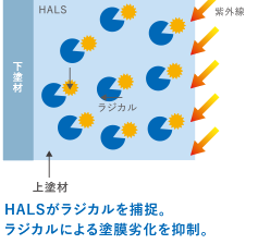 塗膜の劣化要因であるラジカルを捕まえるHALS*の配合によって、劣化を抑制。